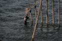 Water Rocks and iron rails (8)